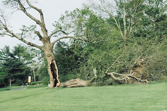 storm028