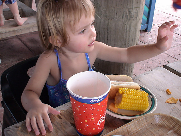 DSC01275_DCE