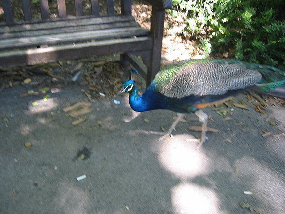 117-1713_IMG