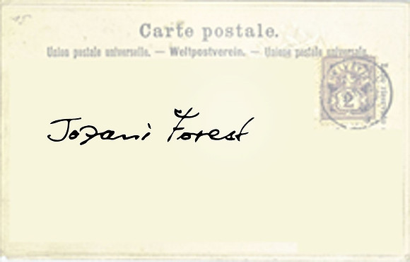 Jozani Forest