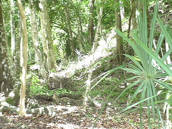 DSC01648
