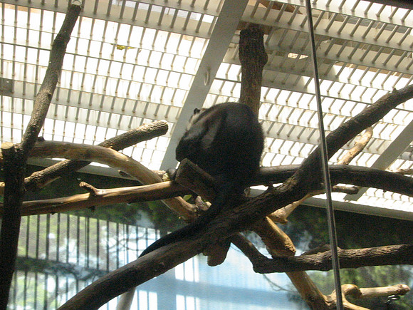 116-1669_IMG