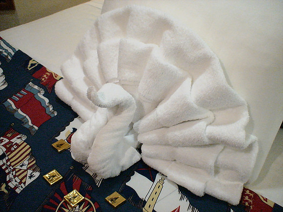 DSC01148_DCE