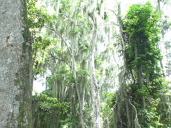 DSC01686
