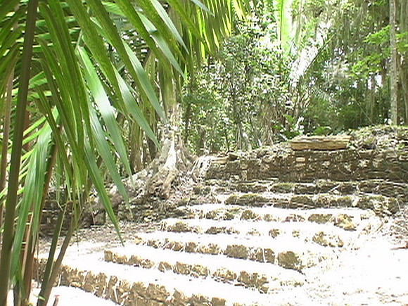 DSC01698