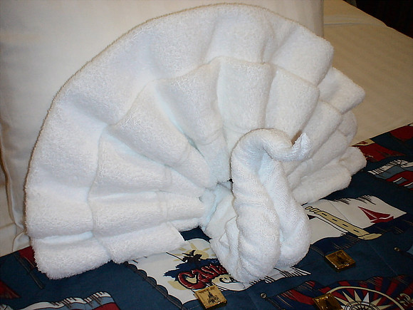 DSC01150_DCE