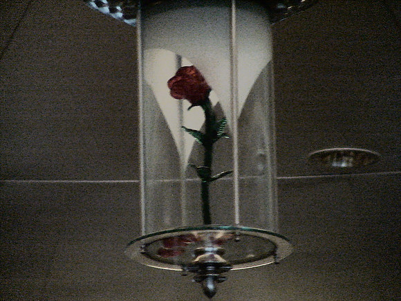DSC01140_DCE