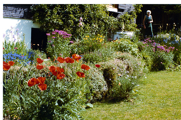 schenk photo scans_20190318_0009