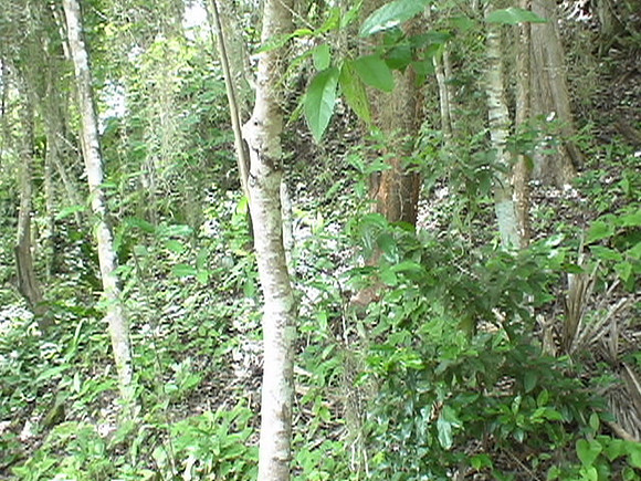 DSC01644