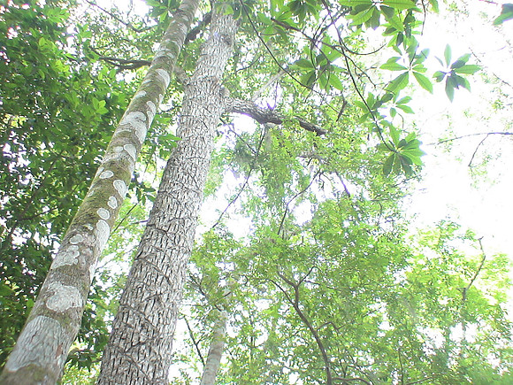 DSC01705
