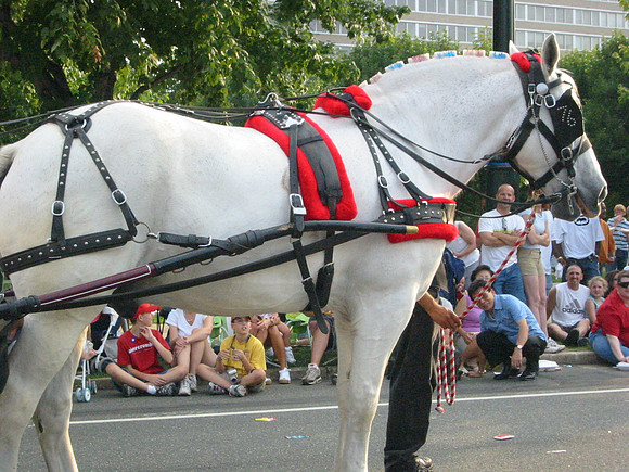 115-1555_IMG