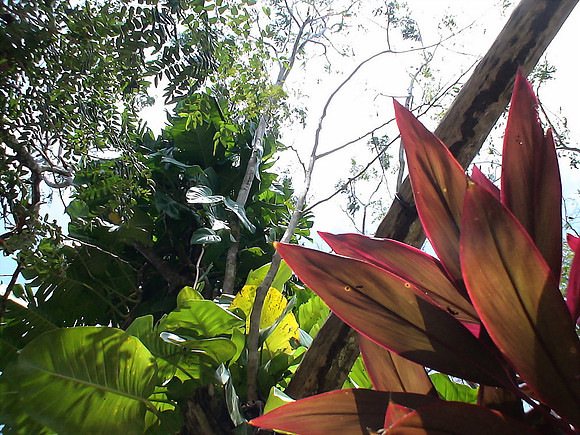 DSC01041_DCE