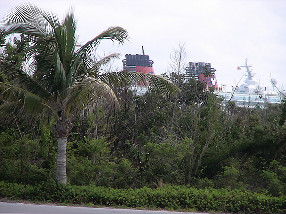DSC01334_DCE