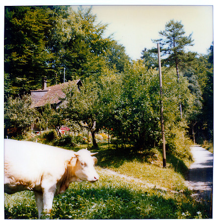 schenk photo scans_20190318_0036