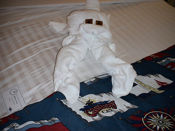DSC00975_DCE