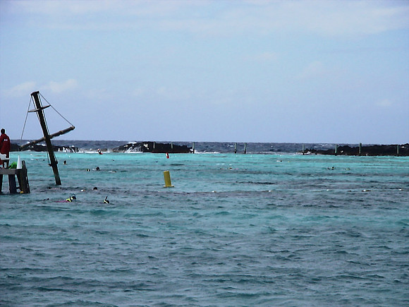 DSC01220_DCE
