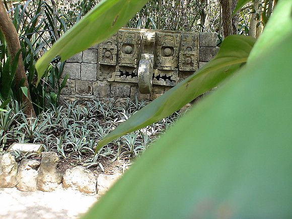 DSC01036_DCE