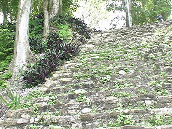 DSC01669