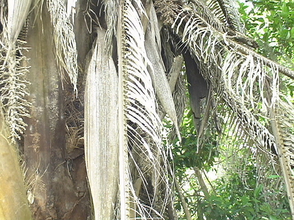 DSC01649