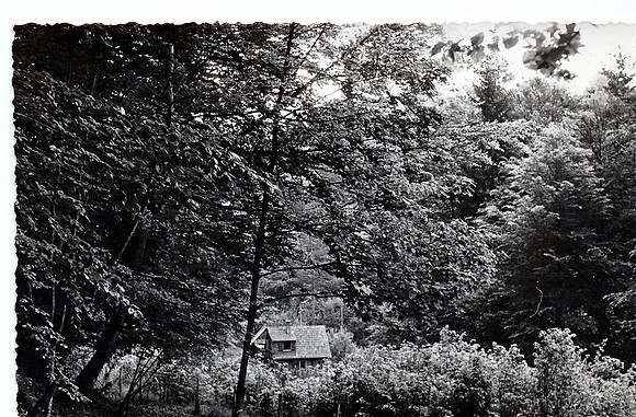 schenk photo scans_20190318_0002