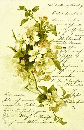201