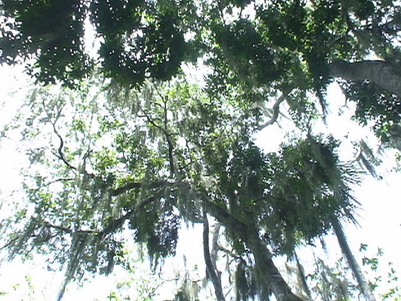 DSC01688