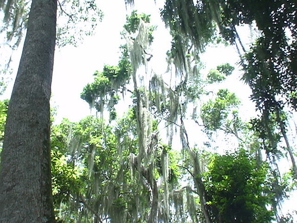 DSC01687