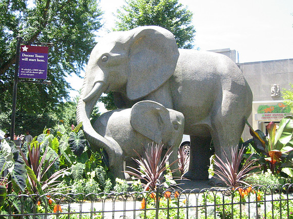 116-1654_IMG