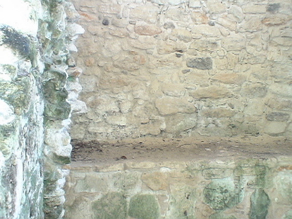 DSC01702