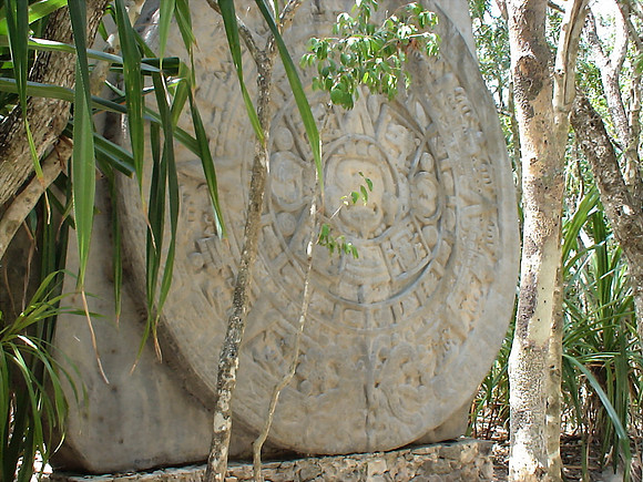 DSC01055_DCE