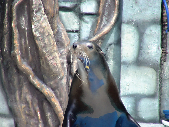 DSC01067_DCE