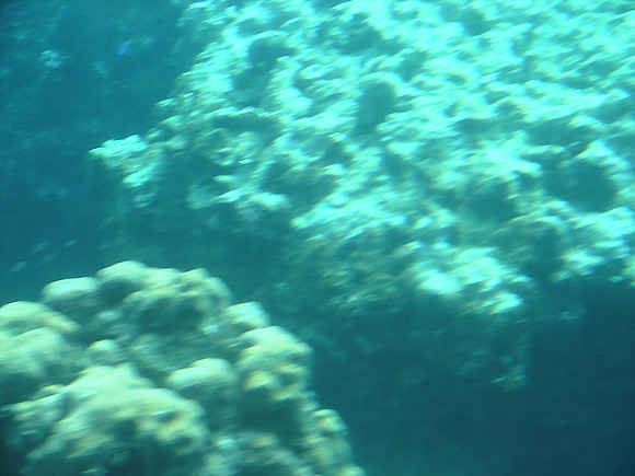 DSC00929_DCE