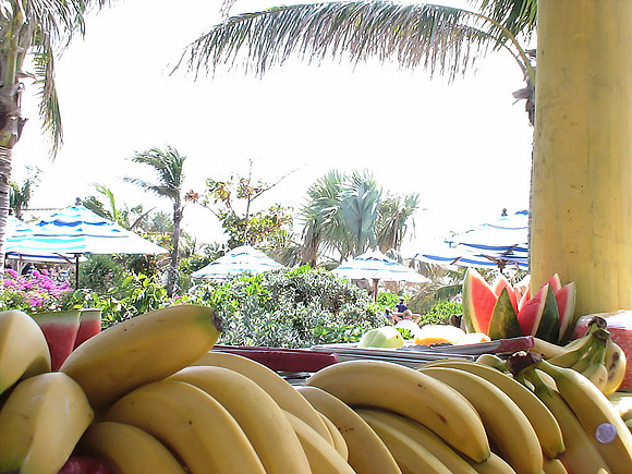DSC01282_DCE