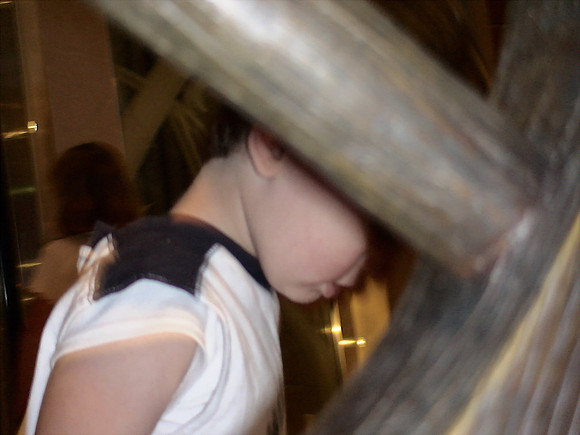 DSC01163_DCE