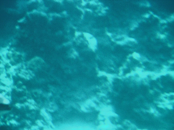 DSC00932_DCE