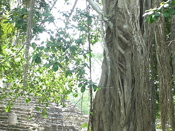 DSC01652