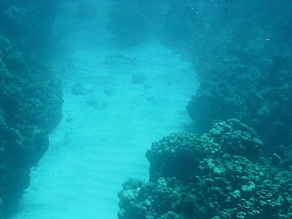 DSC00931_DCE