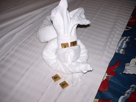 DSC00908_DCE