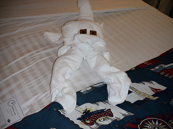 DSC00974_DCE