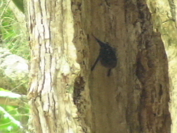 DSC01699