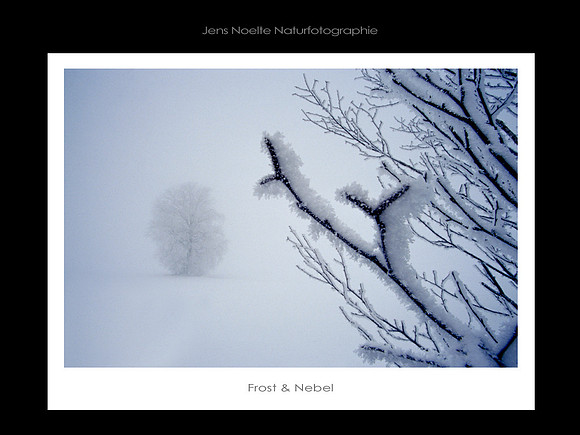 c3a Frost & Nebel
