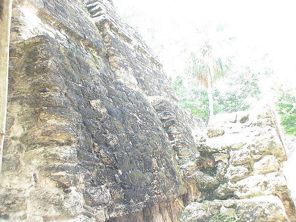 DSC01661