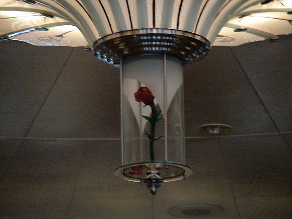 DSC01139_DCE