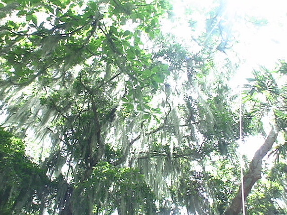 DSC01683