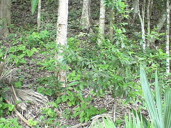 DSC01643