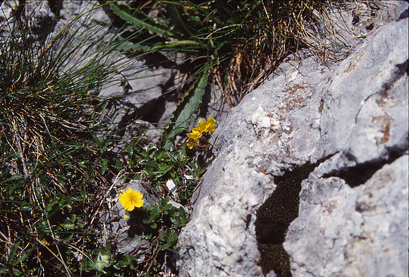 Edward Slides E_20150127_0081