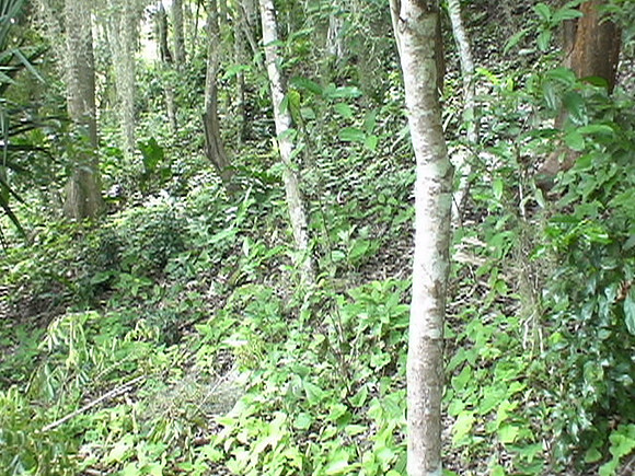 DSC01646