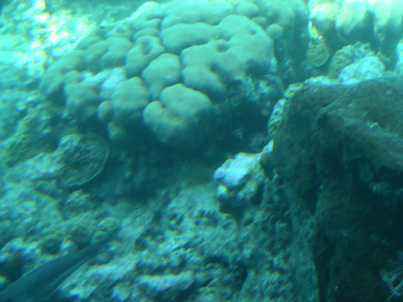 DSC00940_DCE