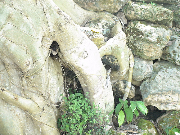 DSC01655