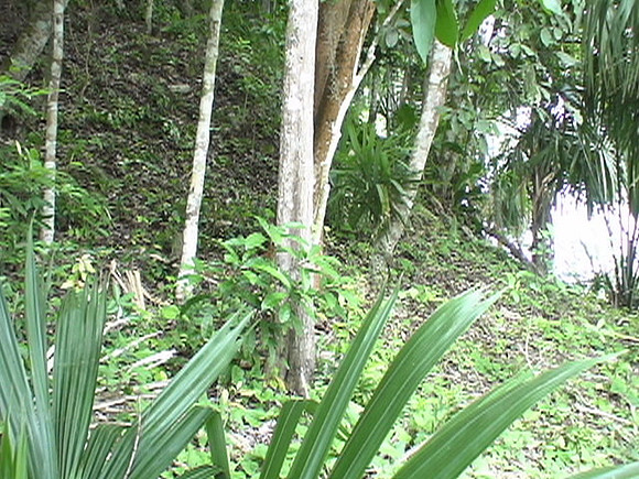 DSC01645